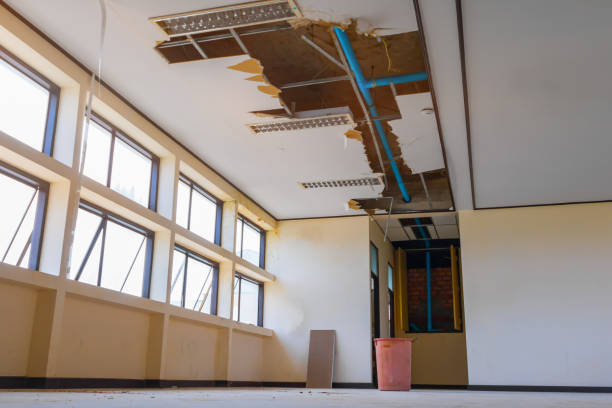 Best 24-hour water damage restoration  in Franklin Park, IL