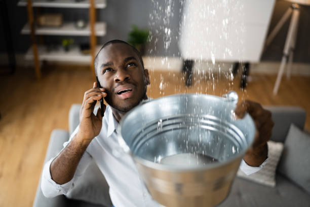 Best Water damage restoration process  in Franklin Park, IL