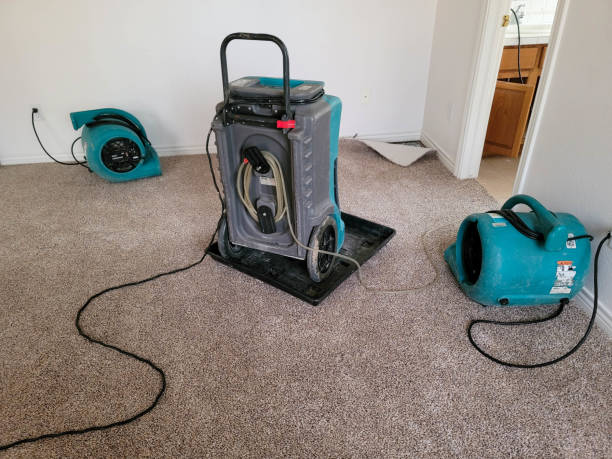 Best Sewage cleanup and water damage restoration  in Franklin Park, IL