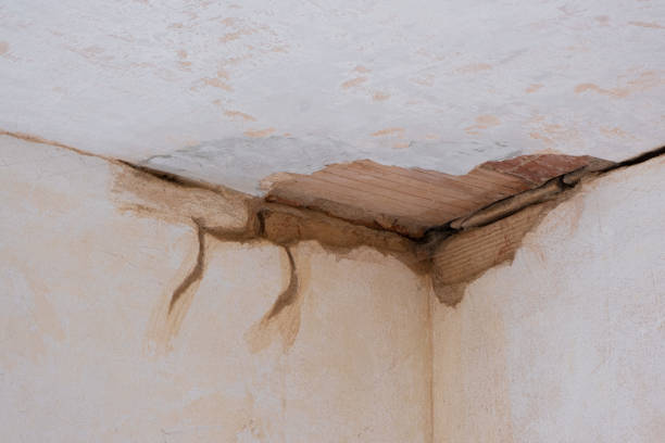 Best Water damage cleanup near me  in Franklin Park, IL
