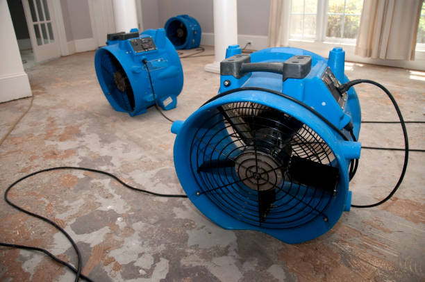 Best Local water damage restoration  in Franklin Park, IL