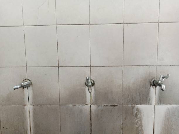 Best Residential water damage restoration  in Franklin Park, IL