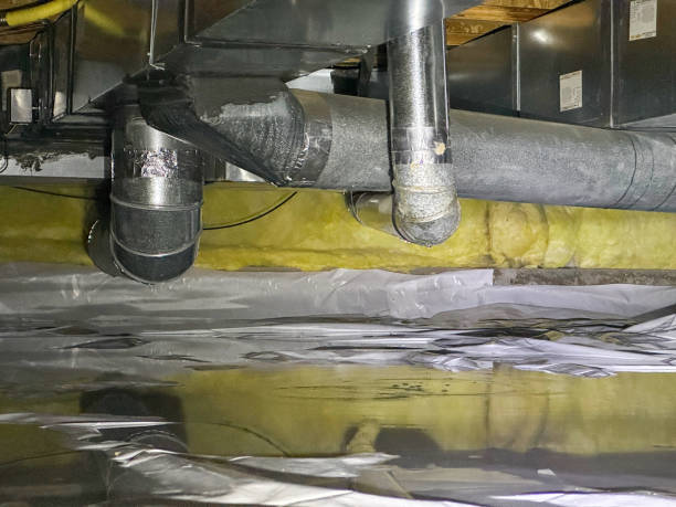 Best Professional water damage repair  in Franklin Park, IL