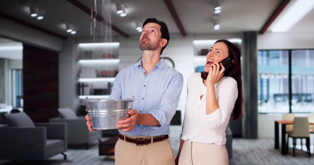 Best Flooded house restoration  in Franklin Park, IL