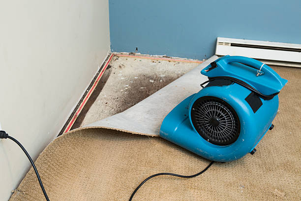 Best Emergency water damage restoration  in Franklin Park, IL